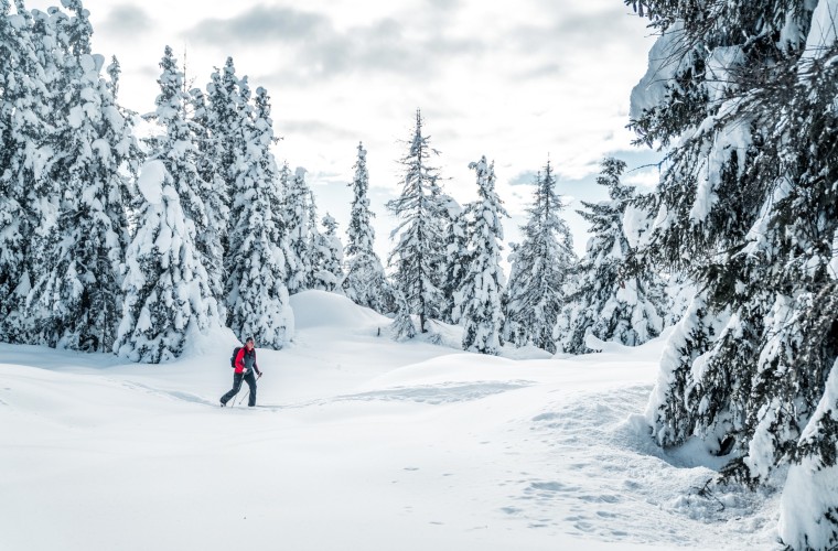 Frau beim Winterwandern durch verschneiten Wald im Sarntal – aktiver Winterurlaub in ruhiger Natur Südtirols