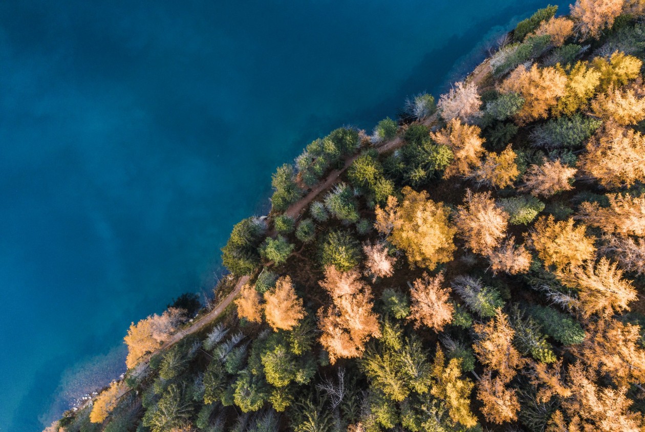 Herbstfarben am See – Ruhe und Natur erleben im Sarntal Herbstlicher Waldweg am Seeufer von oben – ruhige Naturkulisse für aktive Auszeiten im Sarntal, Südtirol