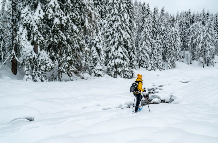 Winterwandern im Sarntal – aktiv und ruhig durch verschneite Landschaften Schneeschuhwanderung durch verschneiten Wald im Sarntal – ruhiger Aktivurlaub im Winter in Südtirol
