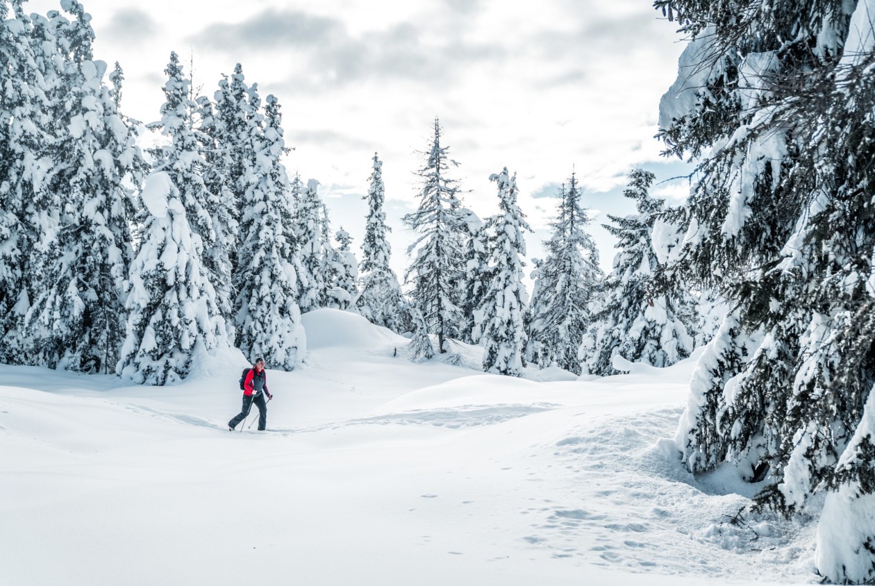 Winterwandern im Sarntal – aktiv unterwegs im Schnee Frau beim Winterwandern durch verschneiten Wald im Sarntal – aktiver Winterurlaub in ruhiger Natur Südtirols