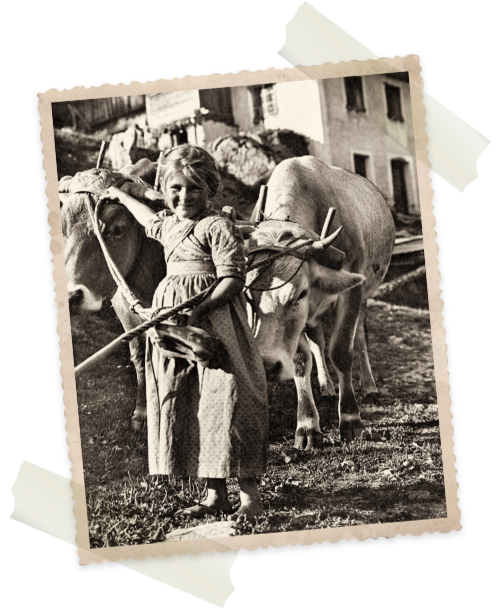 Historisches Foto eines Mädchens mit Kuh im Sarntal – bäuerliche Kindheit und gelebte Südtiroler Tradition am Hof